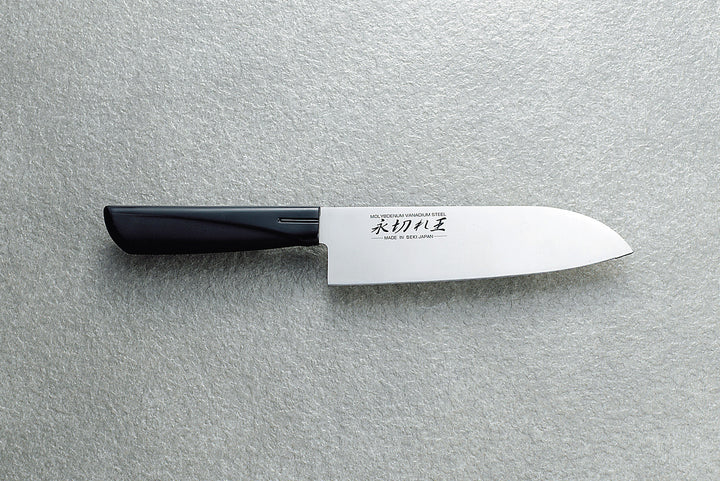 Long-lasting Santoku Knife