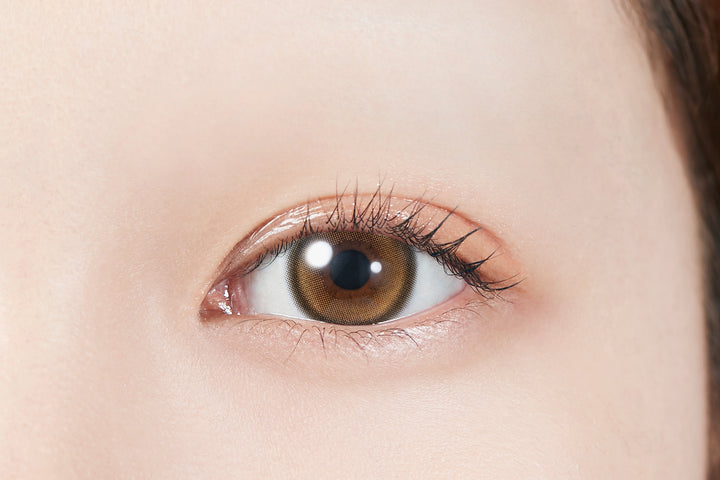 MOLAK 1day Colored Contact Lenses - Twinkle Brown - 10 Pieces - 14.5mm DIA - Japanese Brand