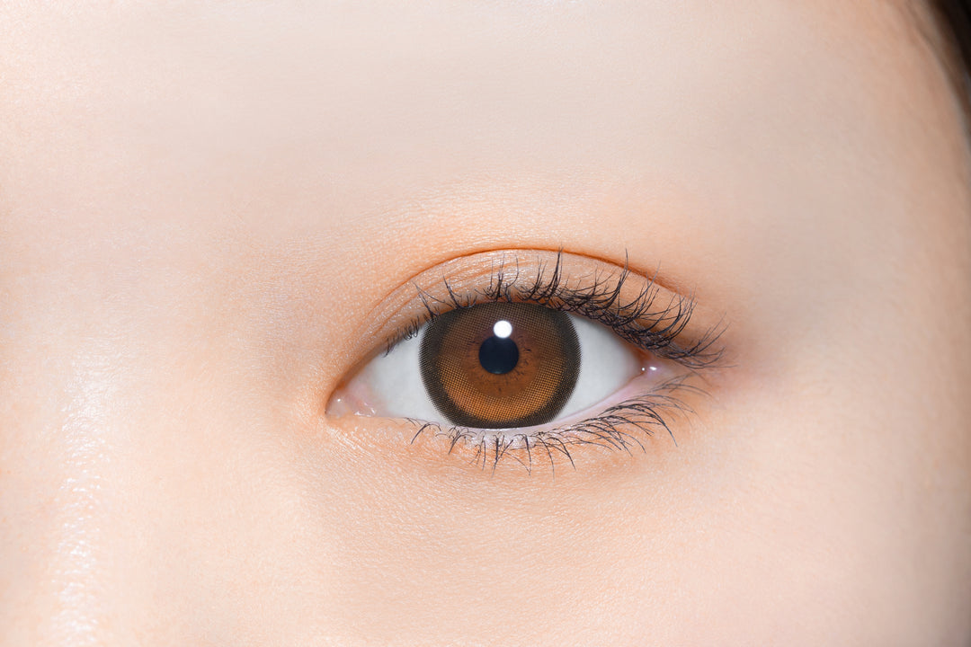 perse 1day Colored Contact Lenses - Sunny Bear - 10 Pieces - 14.2mm DIA - Japanese Brand