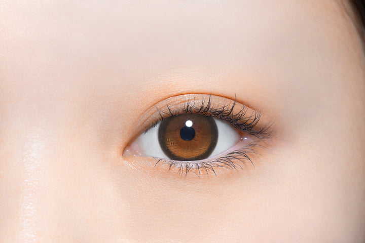 perse 1day Colored Contact Lenses - Sunny Bear - 10 Pieces - 14.2mm DIA - Japanese Brand