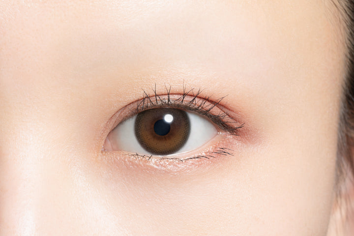 mimuco 1day Colored Contact Lenses - Coco Truffle - 10 Pieces - 14.2mm DIA - Japanese Brand