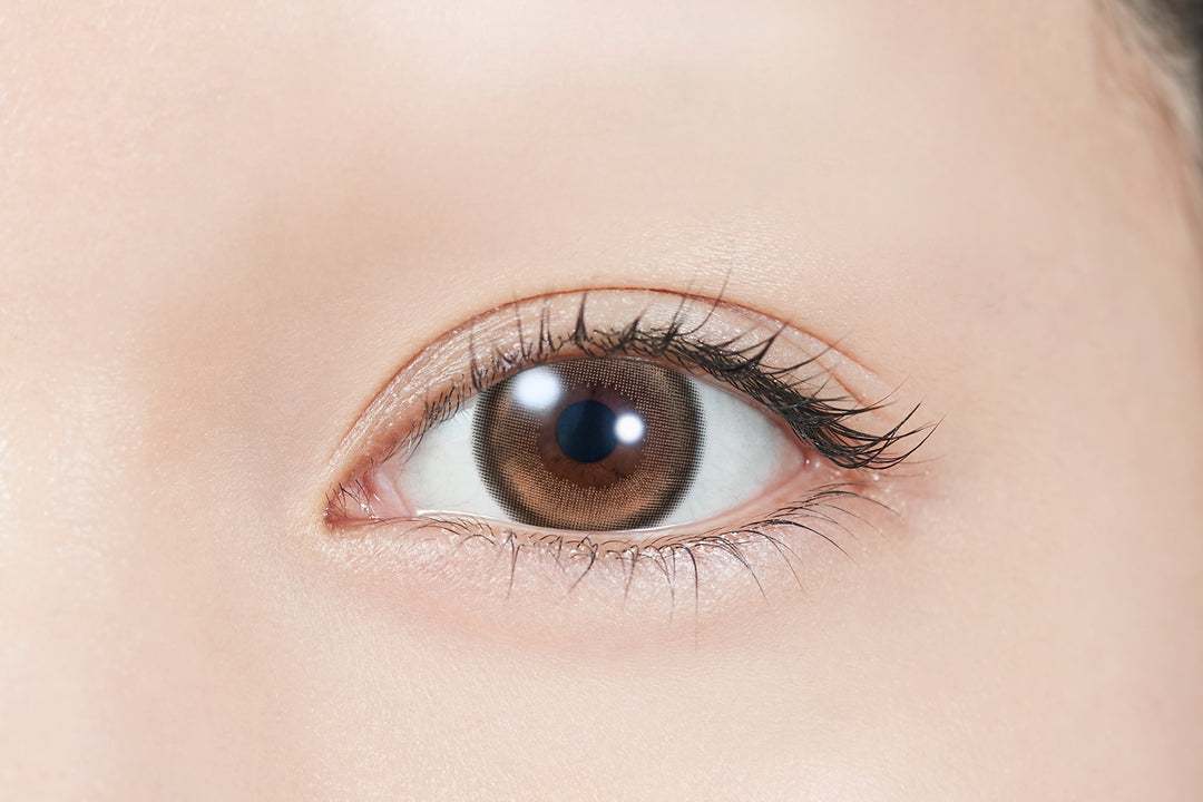 TOPARDS 1day Colored Contact Lenses - Moon Melt Brown - 10 Pieces - 14.5mm DIA - Japanese Brand