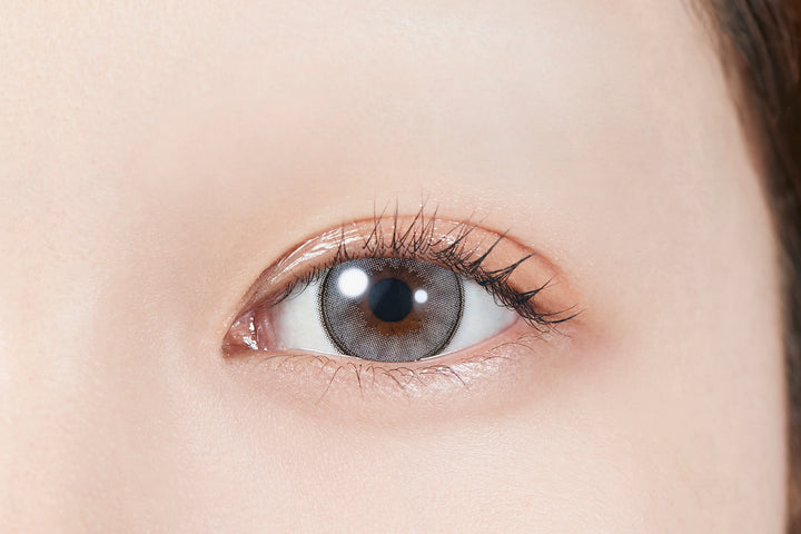 MOLAK 1day Colored Contact Lenses - Dream Gray - 10 Pieces - 14.5mm DIA - Japanese Brand