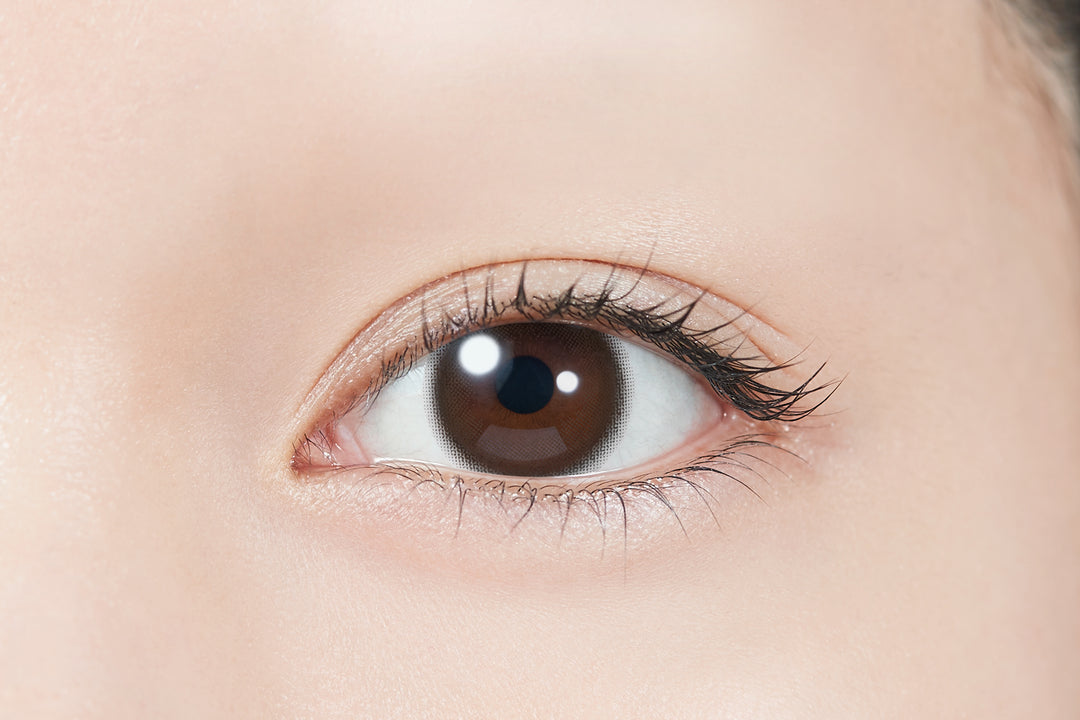 TOPARDS 1day Colored Contact Lenses - Baby Espresso - 10 Pieces - 14.5mm DIA - Japanese Brand