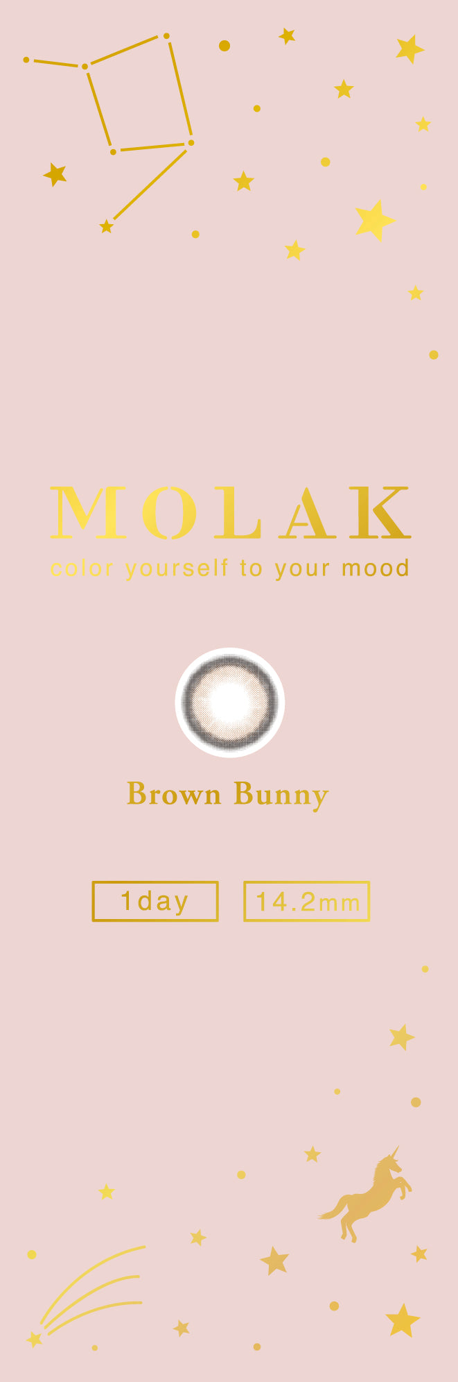 MOLAK 1day Colored Contact Lenses - Brown Bunny - 10 Pieces - 14.2mm DIA - Japanese Brand