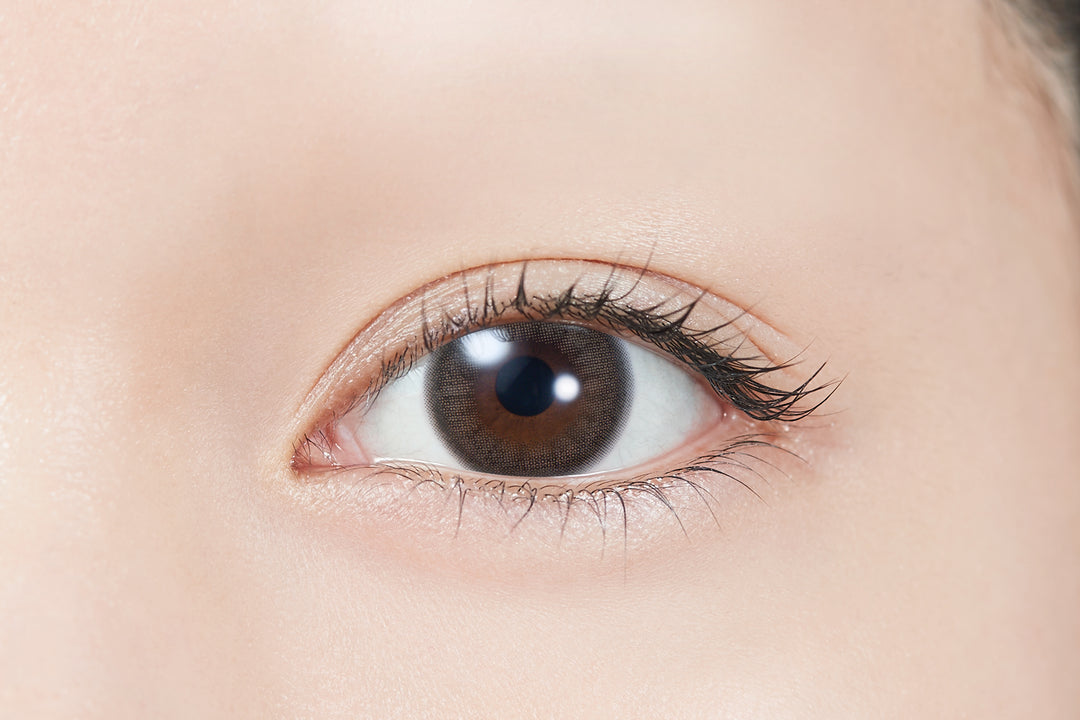 TOPARDS 1day Colored Contact Lenses - Mockery - 10 Pieces - 14.5mm DIA - Japanese Brand