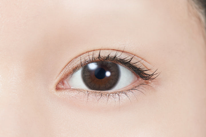 TOPARDS 1day Colored Contact Lenses - Mockery - 10 Pieces - 14.5mm DIA - Japanese Brand