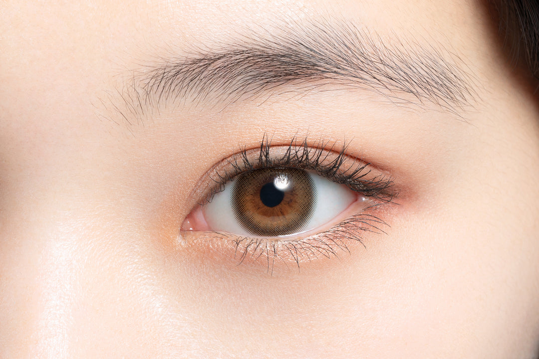 mimuco 1day Colored Contact Lenses - Brown Fondue - 10 Pieces - 14.2mm DIA - Japanese Brand