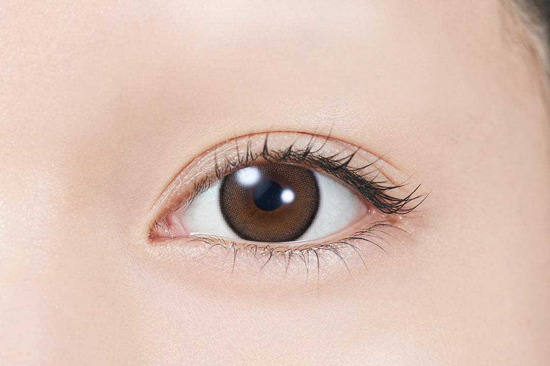 TOPARDS 1day Colored Contact Lenses - Latte Pearl - 10 Pieces - 14.5mm DIA - Japanese Brand