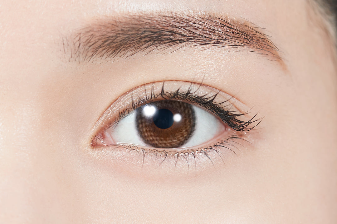 TOPARDS 1day Colored Contact Lenses - Glow Brown - 10 Pieces - 14.2mm DIA - Japanese Brand