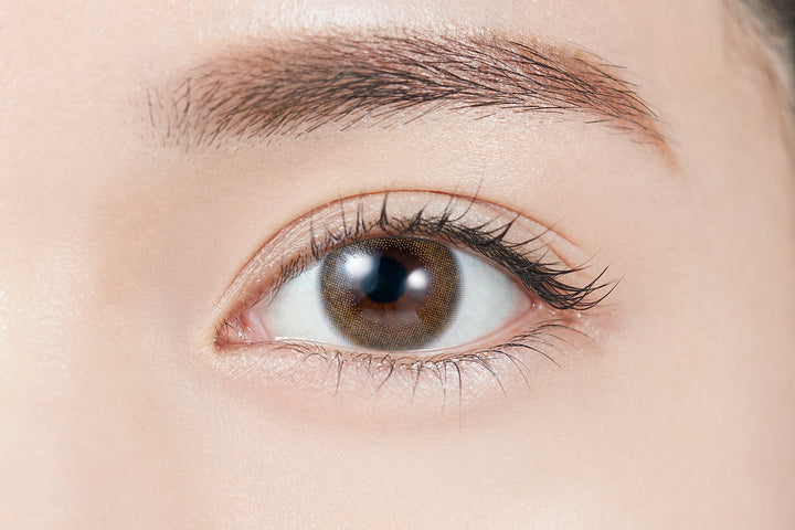 TOPARDS 1day Colored Contact Lenses - Rutile Drop - 10 Pieces - 14.2mm DIA - Japanese Brand