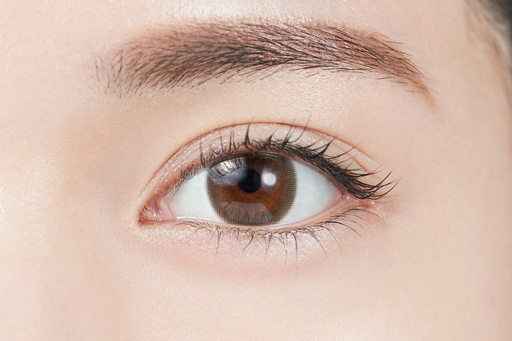 TOPARDS 1day Colored Contact Lenses - Smoky Quartz - 10 Pieces - 14.2mm DIA - Japanese Brand