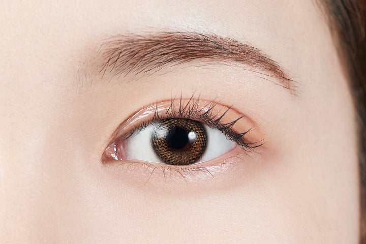 MOLAK 1day Colored Contact Lenses - Coral Brown - 10 Pieces - 14.2mm DIA - Japanese Brand