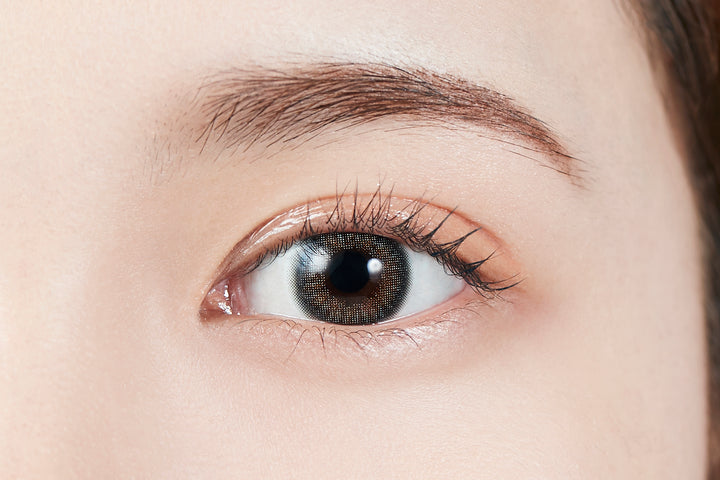 MOLAK 1day Colored Contact Lenses - Mirror Gray - 10 Pieces - 14.2mm DIA - Japanese Brand