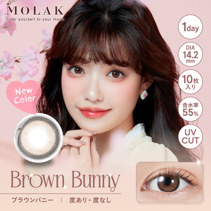 MOLAK 1day Colored Contact Lenses - Brown Bunny - 10 Pieces - 14.2mm DIA - Japanese Brand
