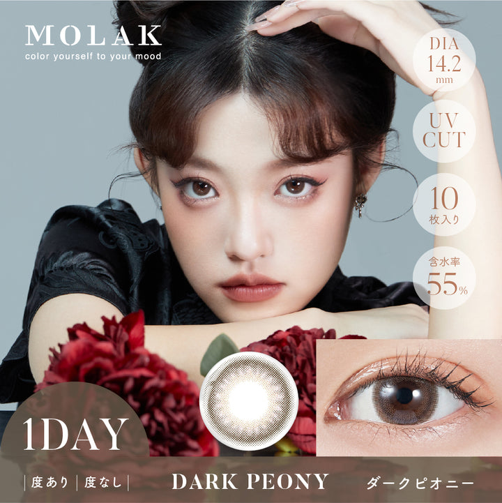 MOLAK 1day Colored Contact Lenses - Dark Peony - 10 Pieces - 14.2mm DIA - Japanese Brand
