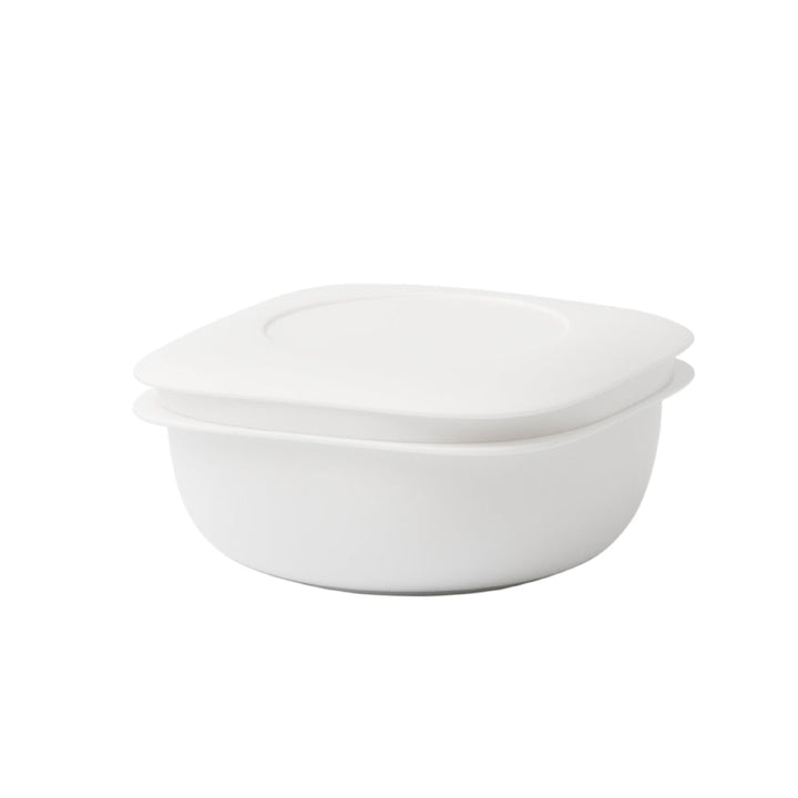 Frozen rice container