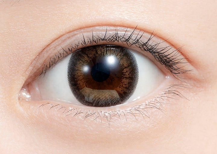 feliamo 1day Colored Contact Lenses - Tulle Brown - 10 Pieces - 14.2mm DIA - Japanese Brand