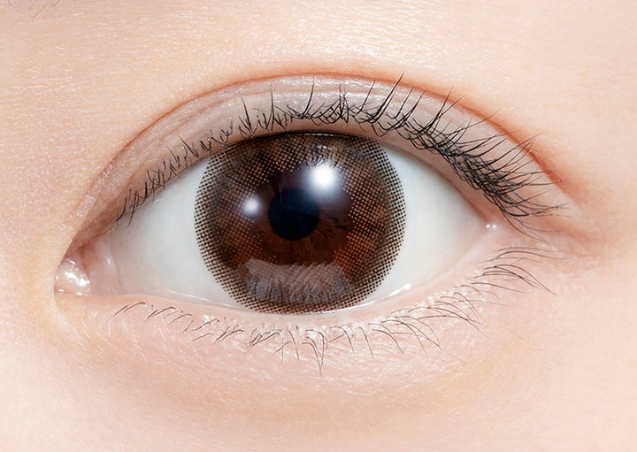 feliamo 1day Colored Contact Lenses - Cafe Mocha - 10 Pieces - 14.5mm DIA - Japanese Brand