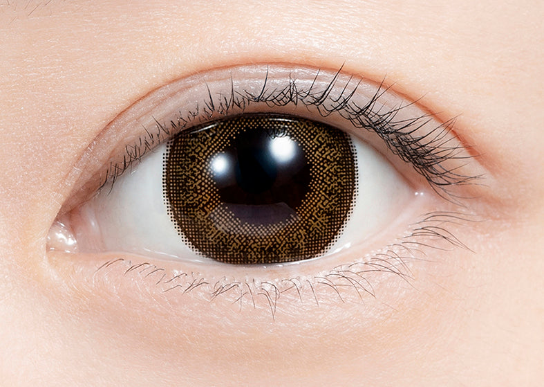 feliamo 1day Colored Contact Lenses - Chestnut - 10 Pieces - 14.5mm DIA - Japanese Brand
