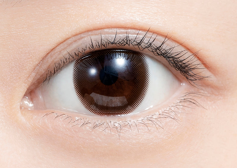 feliamo 1day Colored Contact Lenses - Sheer Brown - 10 Pieces - 14.2mm DIA - Japanese Brand