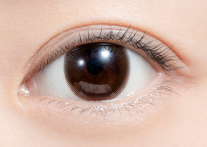 feliamo 1day Colored Contact Lenses - Sheer Brown - 10 Pieces - 14.2mm DIA - Japanese Brand