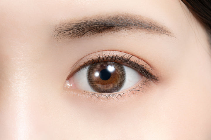 feliamo 1day Colored Contact Lenses - Affogato - 10 Pieces - 14.2mm DIA - Japanese Brand